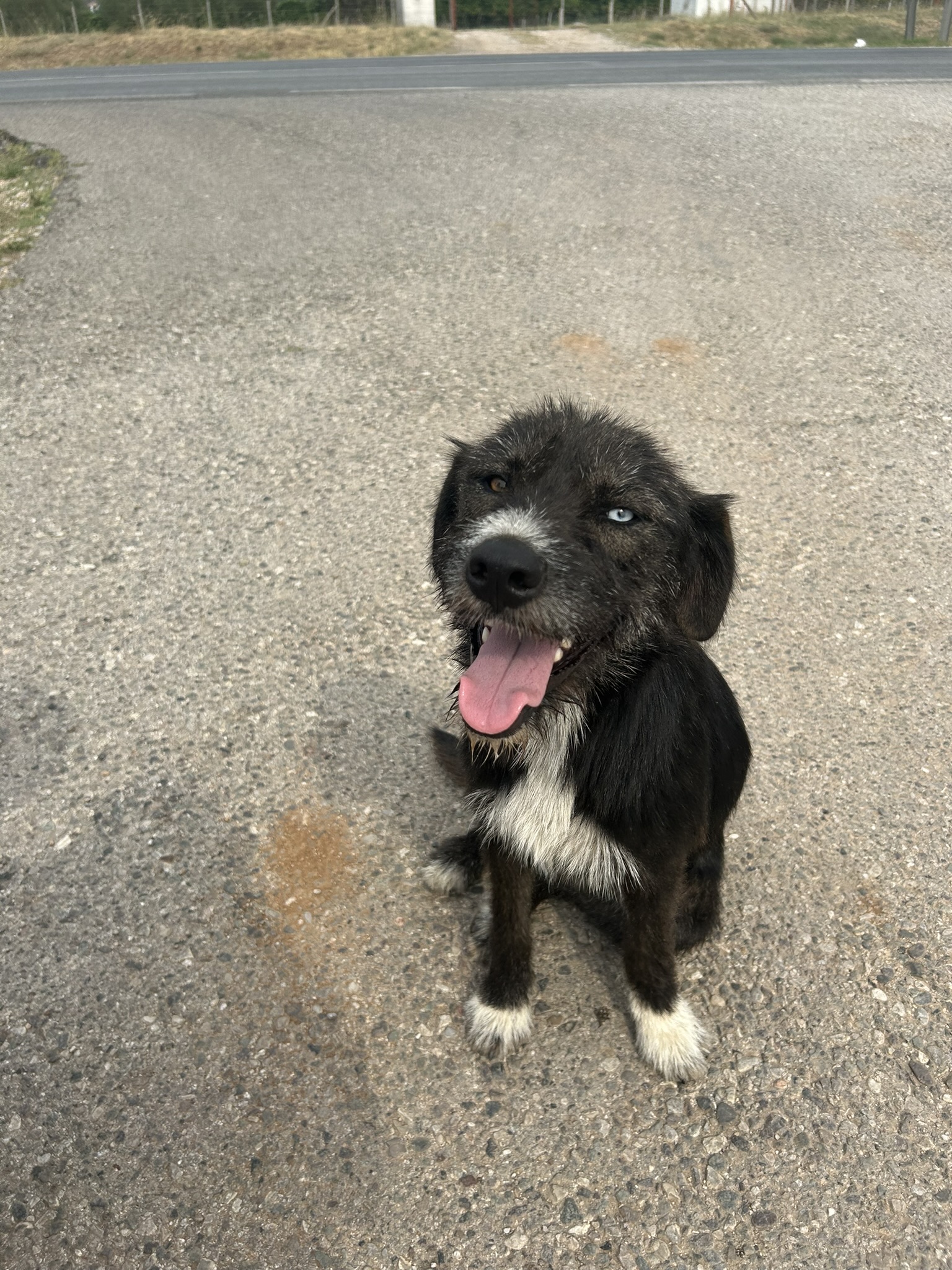 Our 2025 Highlights & A Hope-Filled Vision for 2026